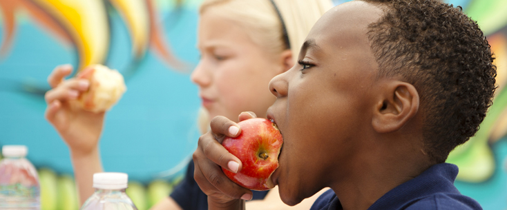Boy with apple photo